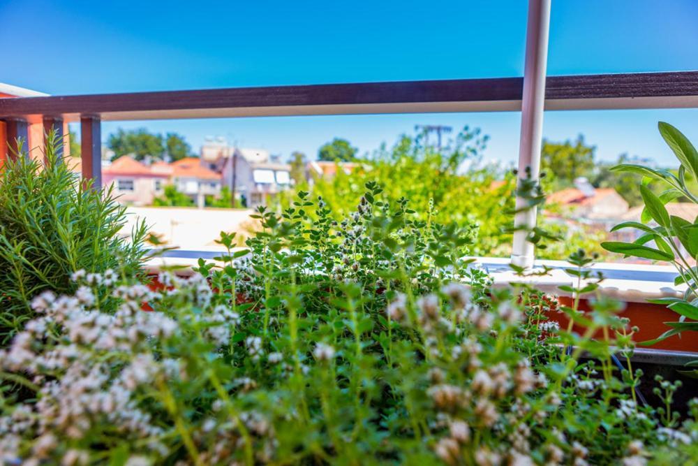Koukounari Living Spaces Preveza Exterior foto